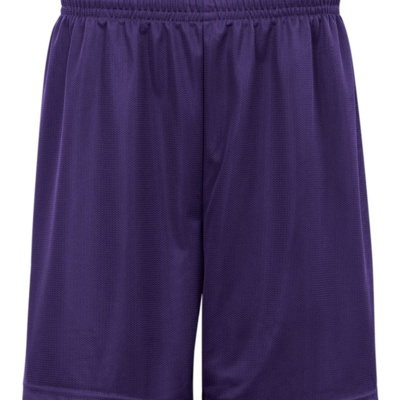 BDG ADT 9 MINI MESH SHORT Thumbnail