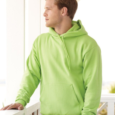Hanes Unisex EcoSmart® Hooded Sweatshirt P170 Unisex EcoSmart® Hooded Sweatshirt Thumbnail