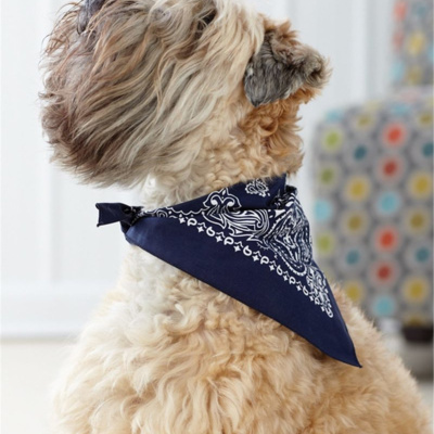 Doggie Skins USA-Made Doggie Bandana 3905 USA-Made Doggie Bandana Thumbnail